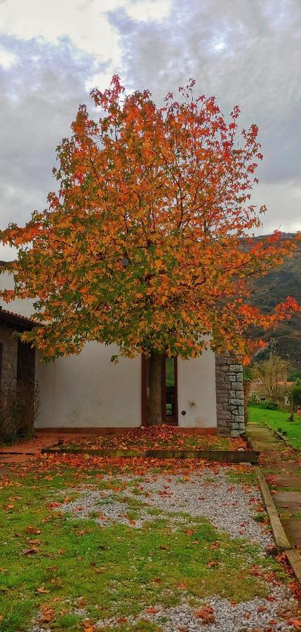 La Calma De Llanes Villa ภายนอก รูปภาพ